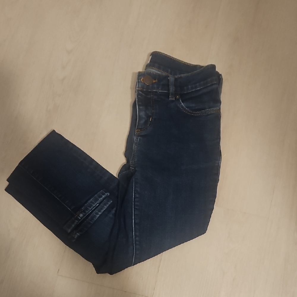 LOFT Blue Skinny Jeans Classic Style